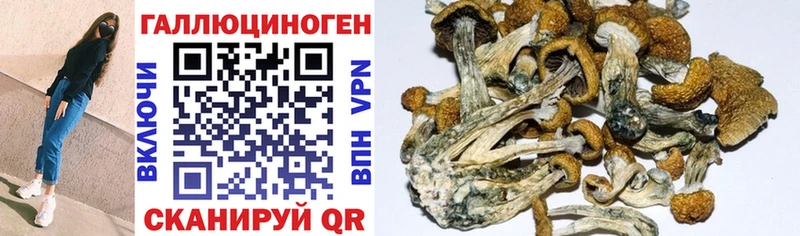 Псилоцибиновые грибы Magic Shrooms  Елабуга 