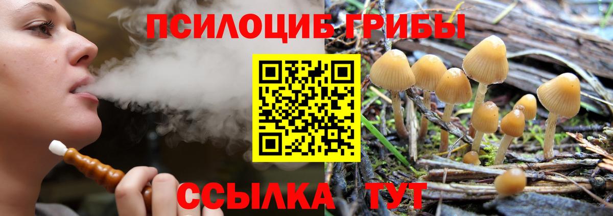 Елабуга  Псилоцибиновые грибы MAGIC MUSHROOMS  Вход с VPN 